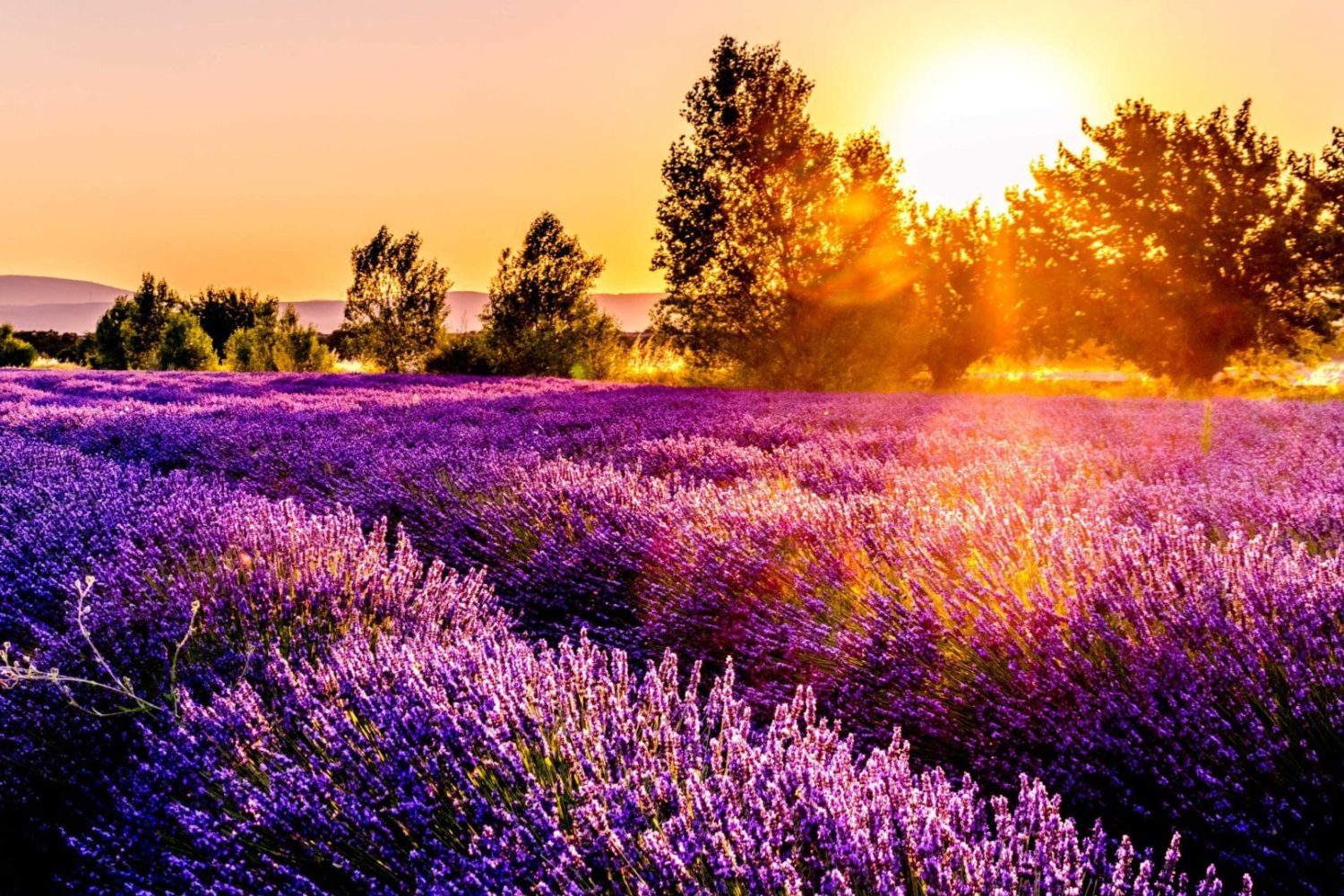 Need A Fun Project To Start The School Year Off?