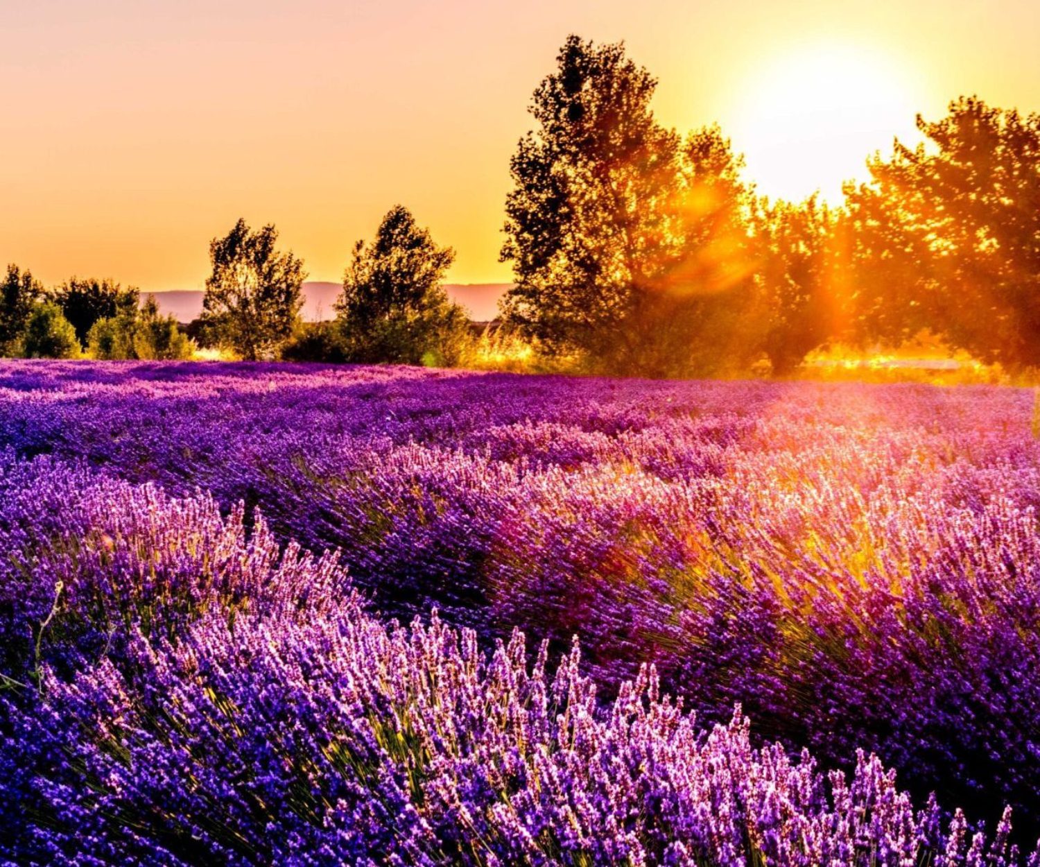 Need A Fun Project To Start The School Year Off?