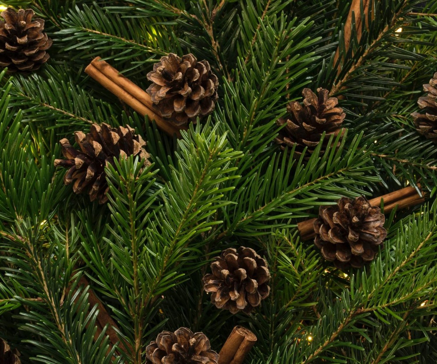 Joyeuses Fêtes! Happy Holidays! Merry Christmas! Joyeux Noël!