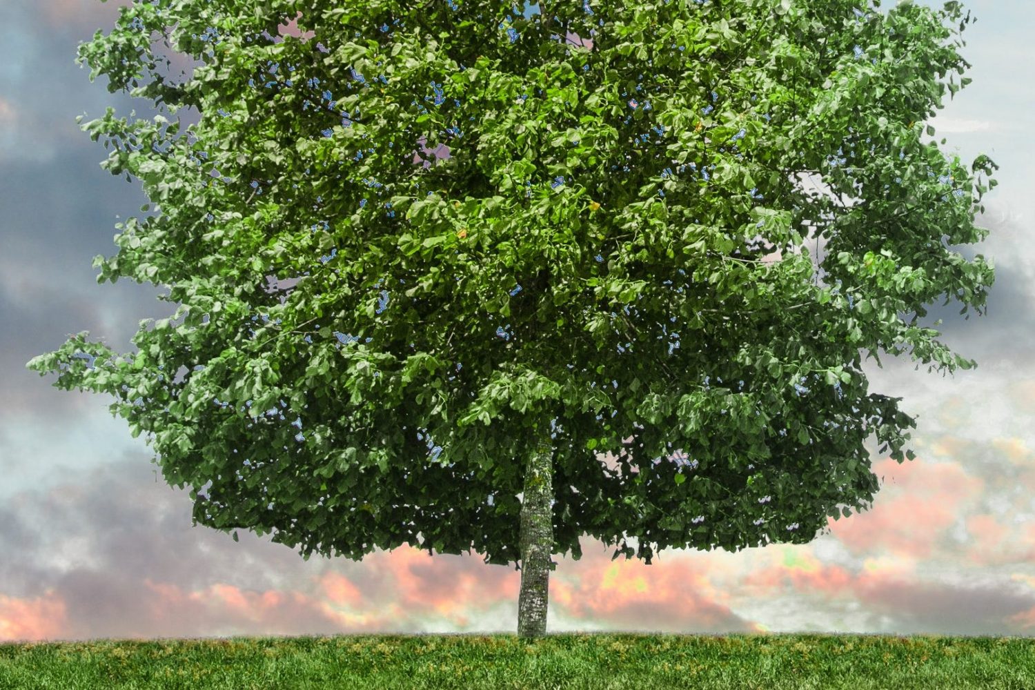 How To Use Projects To Increase Student Learning