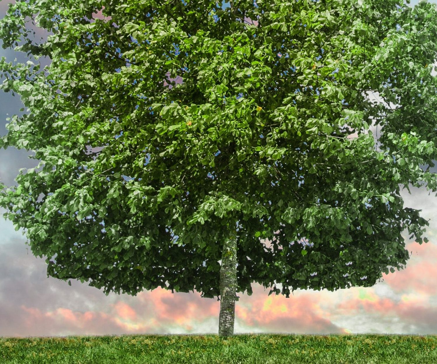 How To Use Projects To Increase Student Learning