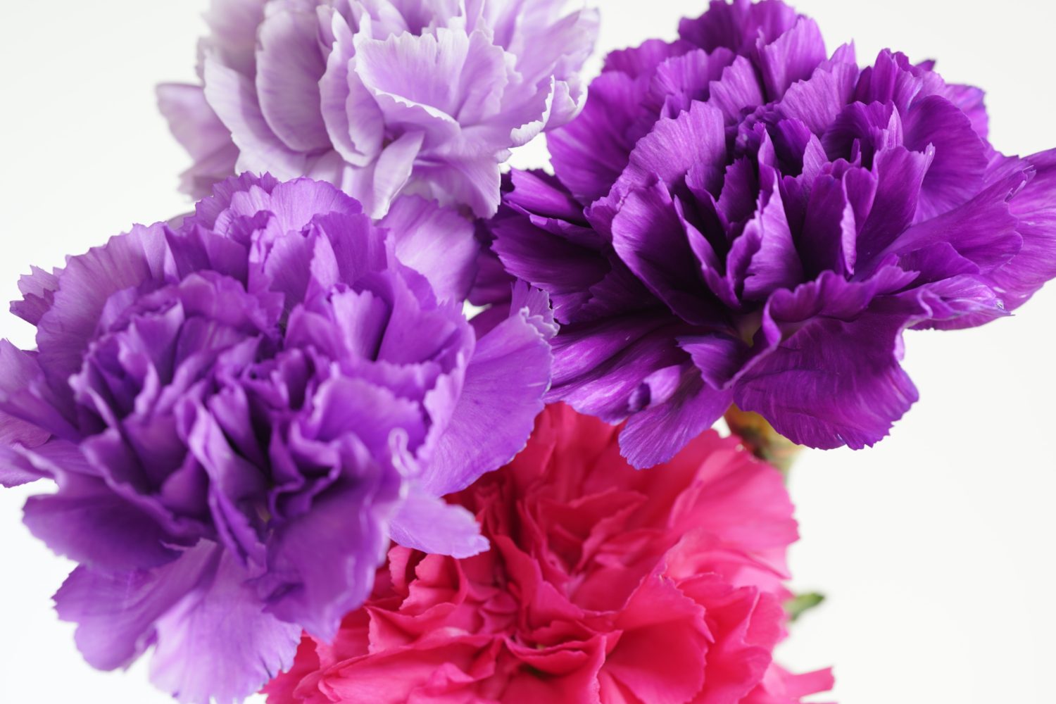  💐 Happy Mother's Day! 💐