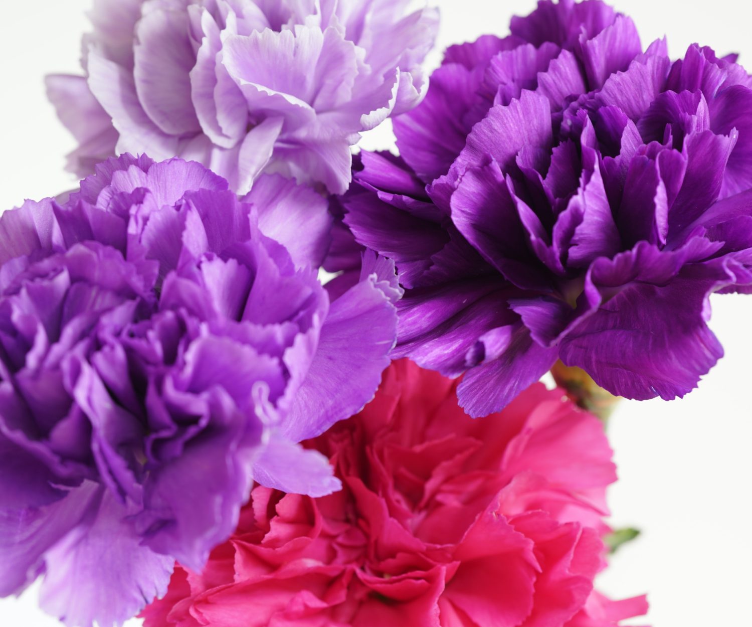  💐 Happy Mother's Day! 💐