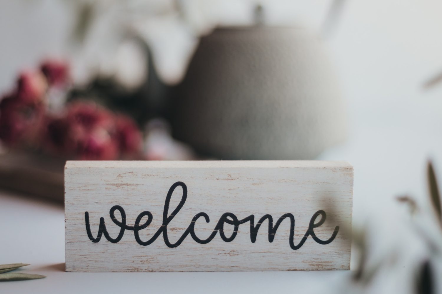 Welcome to Allo Mes Amis