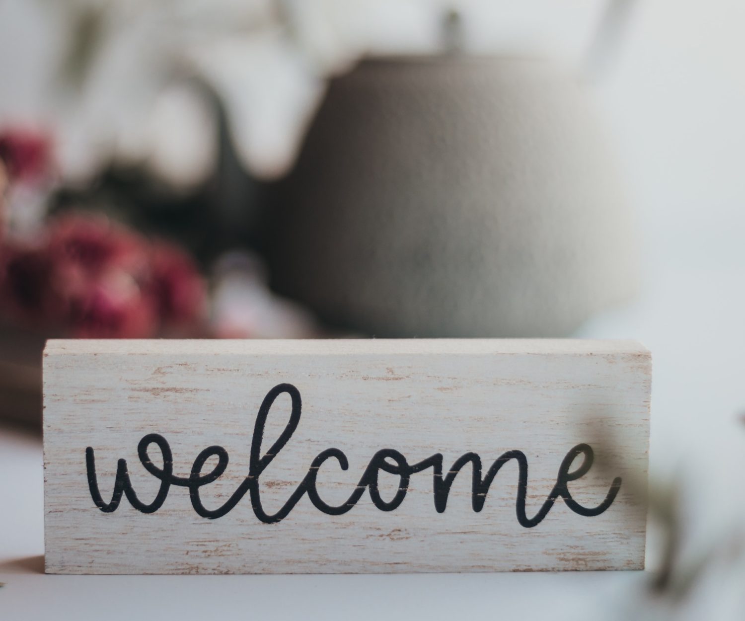 Welcome to Allo Mes Amis