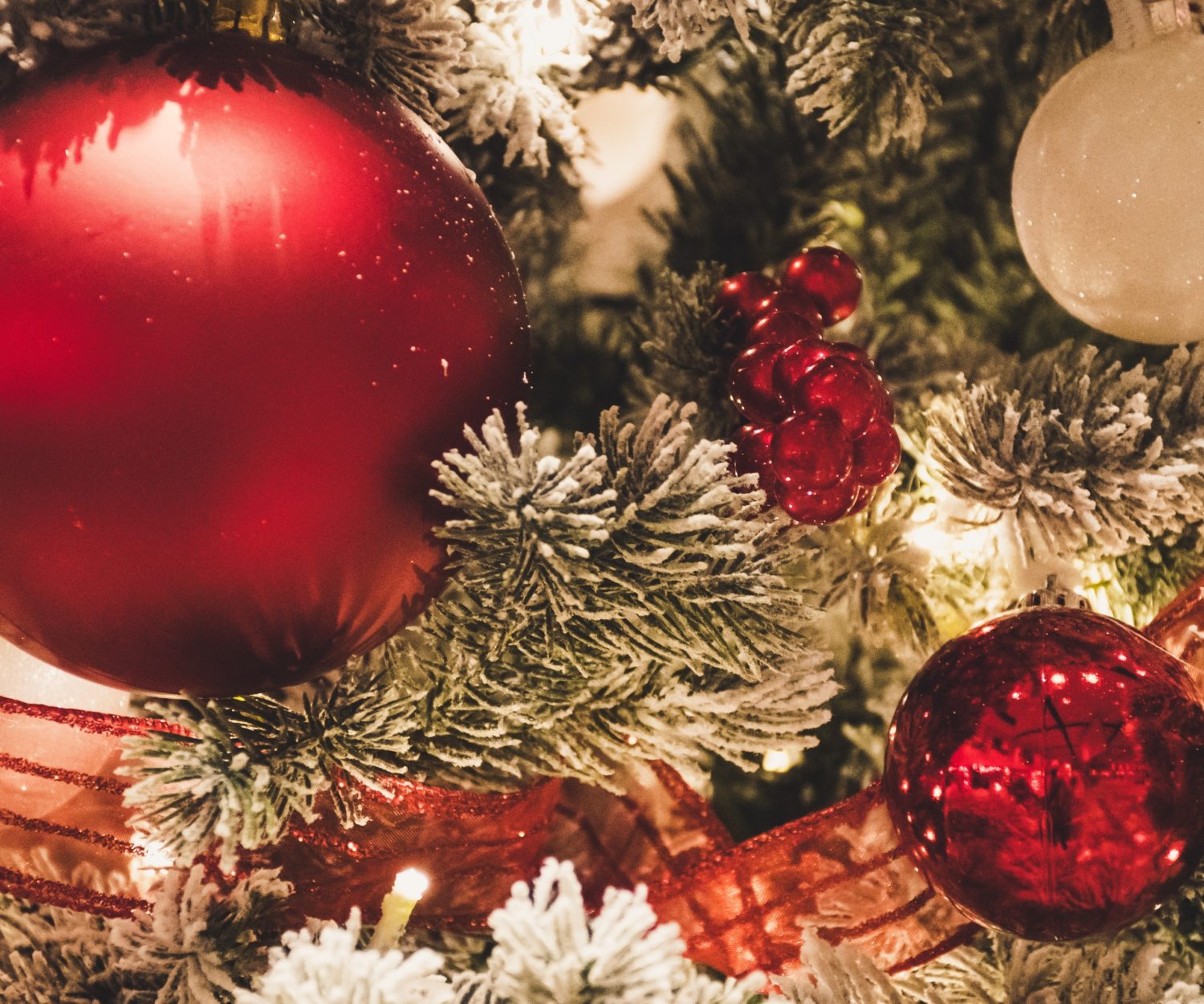 Happy Holidays 2021!