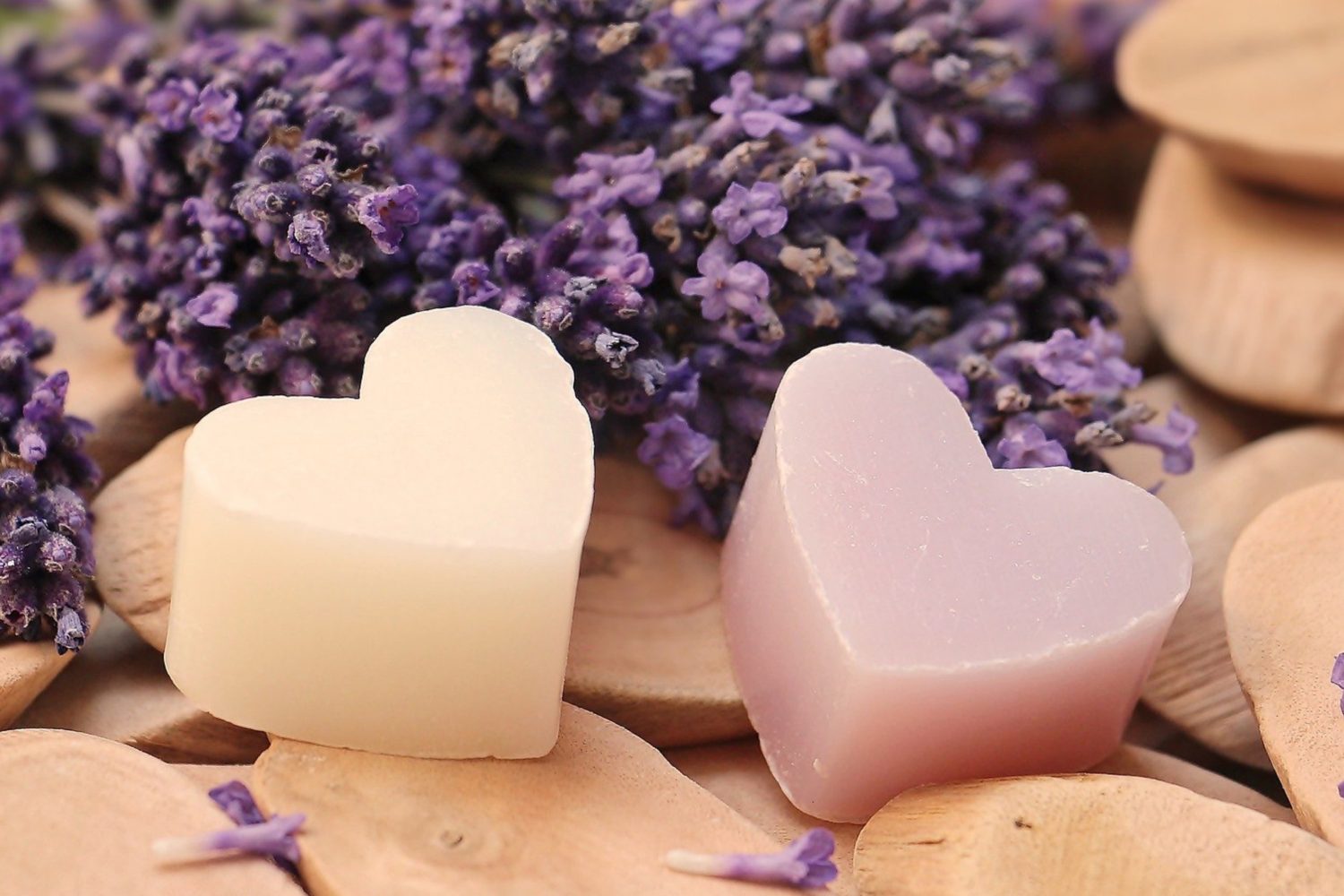 World Teachers' Day 2022World Teachers' Day 2022