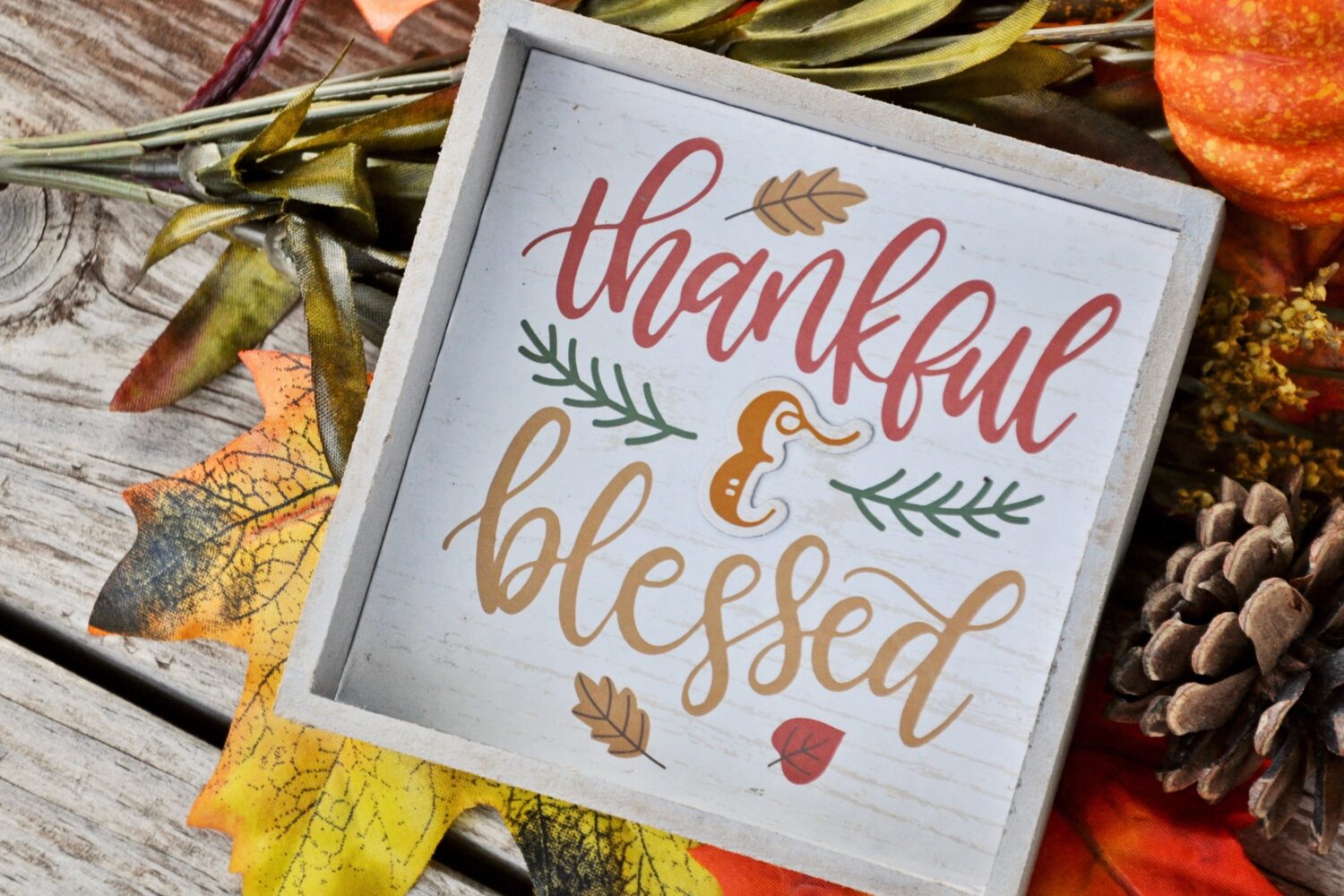 Thanksgiving Activity for Students