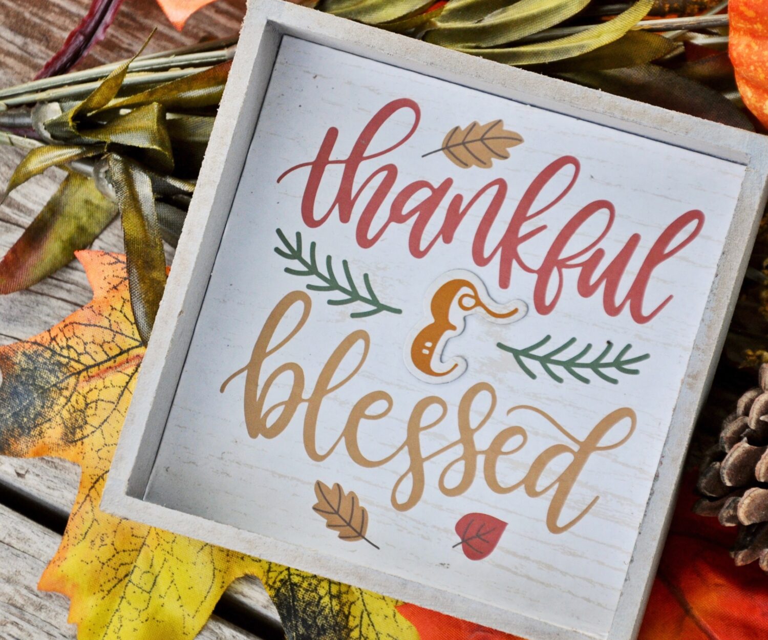 Thanksgiving Activity for Students