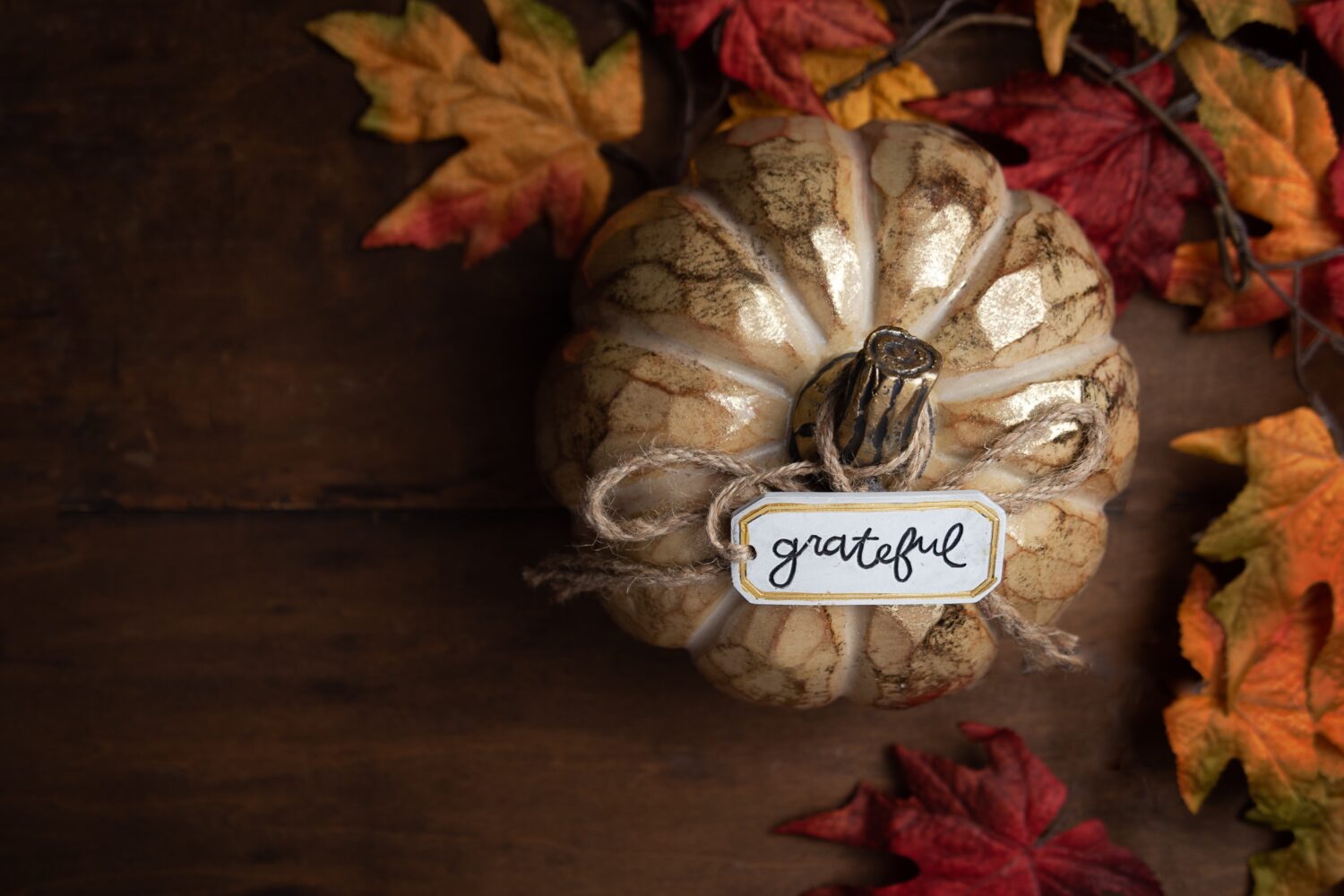 Thankful Grateful Blessed - Reflecting On This Past Year