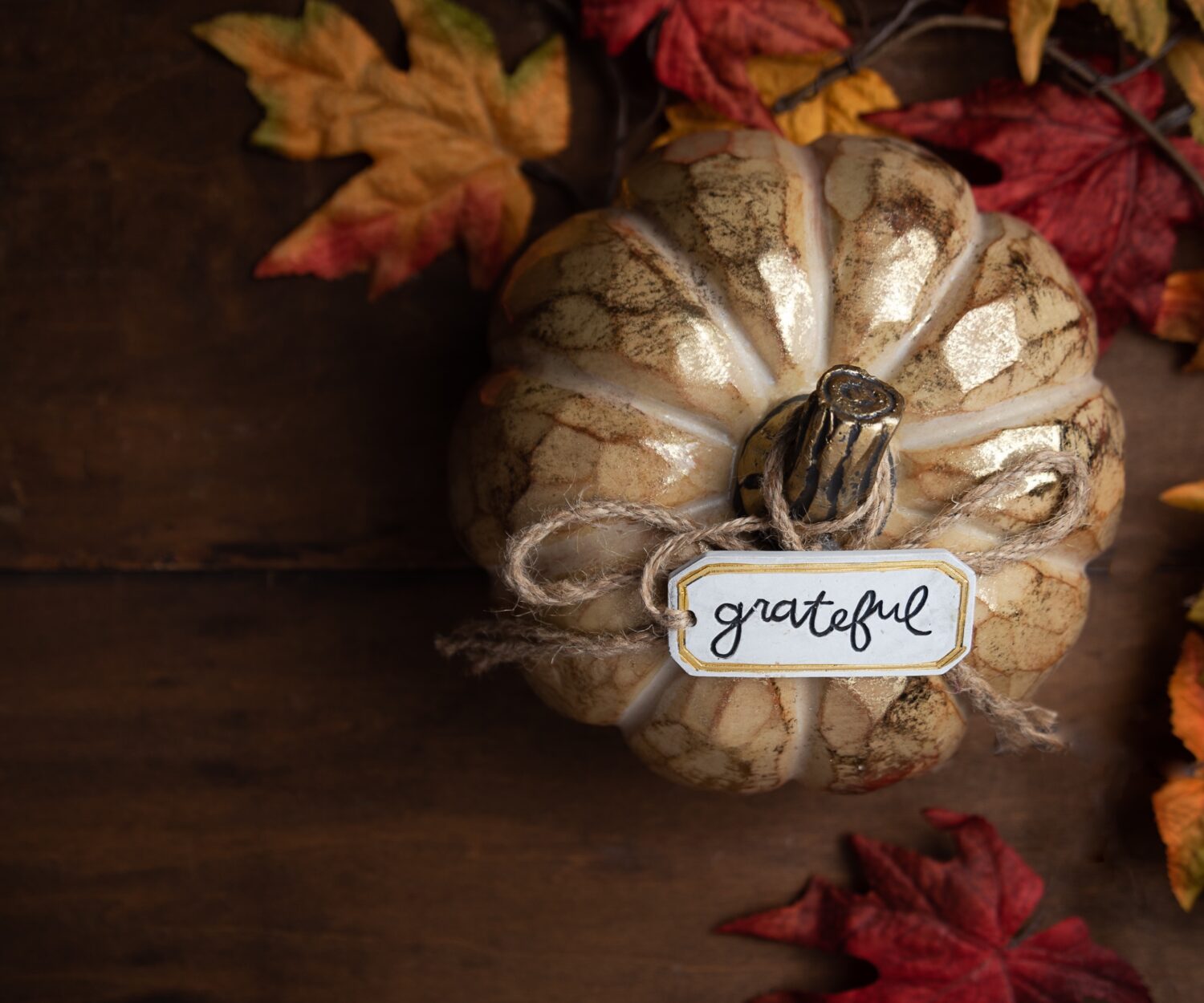 Thankful Grateful Blessed - Reflecting On This Past Year